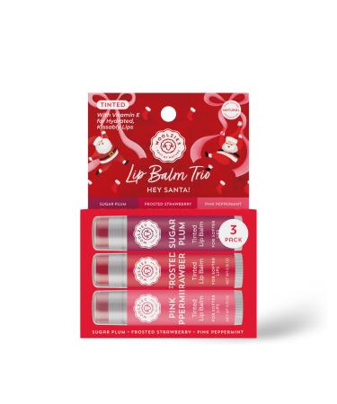 Holiday Stocking Stuffer Tinted Lip Balm Set | All-Natural Shea Butter Beeswax Coconut Oil & Vitamin E | Hydrating Lip Care with Beautiful Natural Shades (3 Pack Hey Santa!) Hey Santa! 3 Pack
