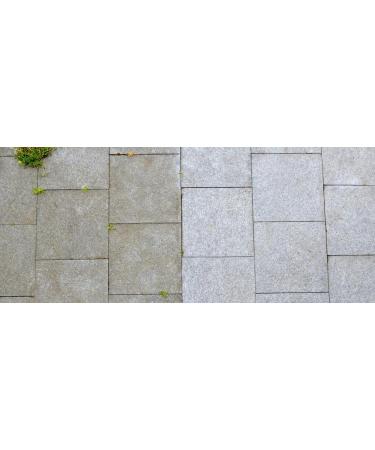 Armor MSC100 Gentle Cleaner - Best for Concrete Pavers Stone Gutters & Siding | International Shipping - Buy Online on GoSupps.com