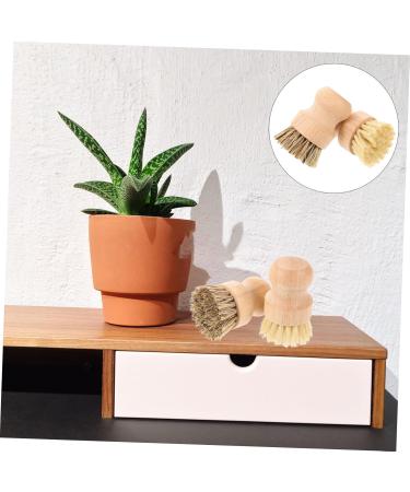 Solustre 6 Pack Rinse Brushes - Multi-Purpose Bathroom & Kitchen Cleaning Brushes with Wooden Handle - Ideal for Pots Crockery & More - Buy Online on GoSupps.com