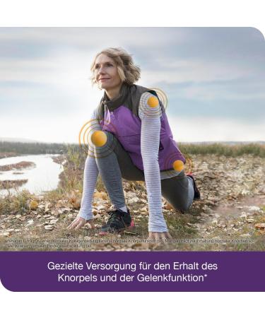  Dr. Loges flexiLoges Active Cartilage 240 capsules Coordinated nutritional concept for healthy joint function - Buy Online on GoSupps.com