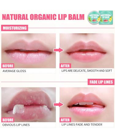 Lip balm moisturizing natural plant extract and vitamin E moisturizing lip cream for lip repair and treatment soothes and colors lips nourishing - Buy Online on GoSupps.com