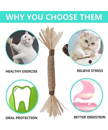 Organic Cat Mint Sticks - 6PCS Dental Toys for Cats | Chew & Clean Cat Sticks | Kaust Sticks for Healthy Teeth - Buy Online on GoSupps.com