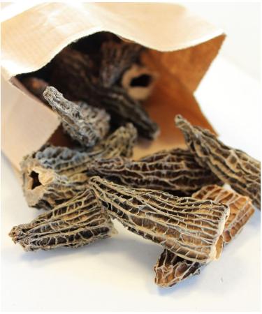 Special morel - 500g jar - Buy Online on GoSupps.com