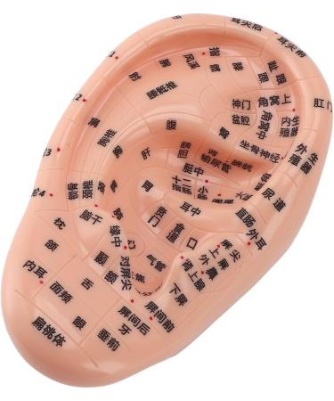 Buy Ear Zone PVC Acupuncture Point Model - Reflexology Teaching Aid for International Shipping - Buy Online on GoSupps.com