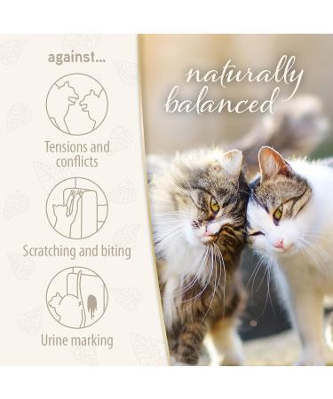 Felisept Family Comfort Relaxing Agent in Multi-Cat Household Plug-In Diffuser and Refill 45ml Starter Set - With natural catnip - Cat plug in calmer - Release tensions and reduce sustainably Starter Set (Diffuser + Refill 45ml) - Buy Online on GoSupps.com