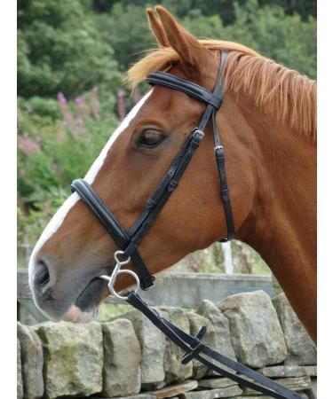Turners Stunning Black Leather Snaffle Cavesson Horse Riding Bridle with Reins (Pony) - Buy Online on GoSupps.com