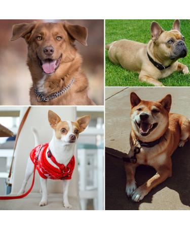 12 Pcs Metal O Rings 1 Inch Heavy Duty 304 Stainless Steel Welded O Ring Multi-Purpose O-Ring for Macrame  DIY Crafts  Hardware  Bags  Camping Belt  Dog Leashes  Keychain  Purse. 4mm*25mm ID  12Pcs - Buy Online on GoSupps.com