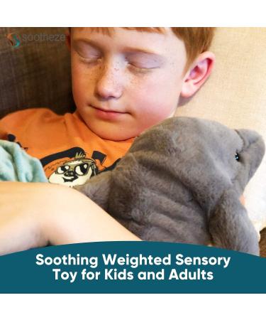 Sootheze Dolphin Scented Stuffed Animal Toy - Microwavable Hot Cold Therapy - Buy Online on GoSupps.com