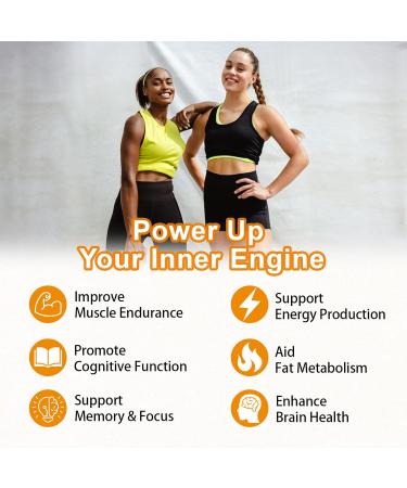 Acetyl L-Carnitine Gummies Sugar Free Premium L-Carnitine Supplement for Women & Men ALCAR Supplement for Energy Muscle Focus & Brain Support Gluten-Free Non-GMO Vegan Pineapple Flavor 60 Ct 60 Count (Pack of 1) - Buy Online on GoSupps.com