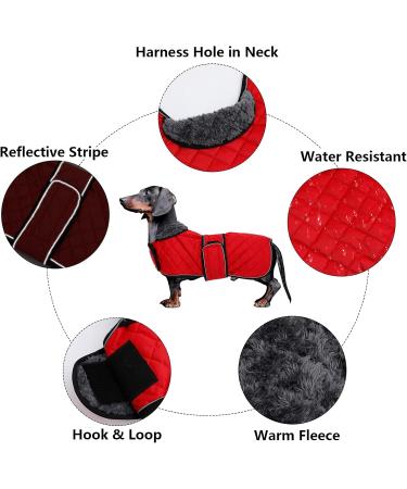 Minezi Dachshund Winter Jacket - Waterproof Dog Coat with Wool Lining & Adjustable Straps | XS Red (31-32cm) - Perfect for Outdoor Adventures - Buy Online on GoSupps.com