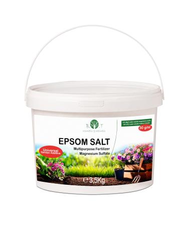 Sels d'Epsom (Sulfate de Magn sium) Hautement Solubles dans l'eau. Universel. 100% Naturel. Riche en Magn sium Phosphore Calcium et Fer. Int rieur et Ext rieur - 1000 g