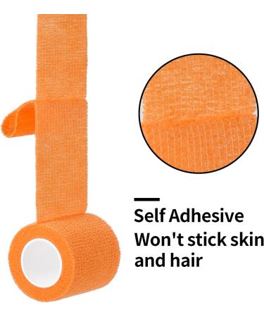 Sagafly 12 Rolls Self-Adhesive Bandage - Elastic First Aid Fixing & Cohesive Bandage for Wrist Ankle & Pet Vet Wrap - International Shipping Available - Buy Online on GoSupps.com