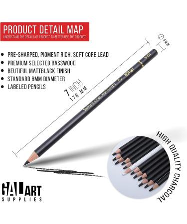 Galart Supplies Charcoal Drawing Set - 12 Piece Pre-Sharpened Pencils for Artists and Beginners | Soft, Medium, Hard, and White Charcoal Pencils for Drawing, Shading, and Sketching with Organizer Tray - Buy Online on GoSupps.com