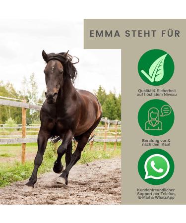 Horses vitamins + amino acids horse mineral food horses vitamins B I vitamin E I vitamin b complex selenium zinc horse vitamin b1 b6 horse strengthen the immune system 1L30ml - Buy Online on GoSupps.com