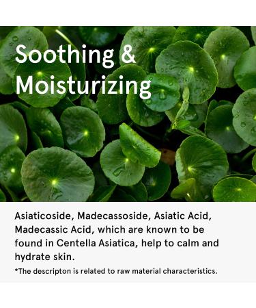 ONE THING Centella Asiatica Serum 2.7 Fl Oz | CICA HA Hydrating Serum for Oily Acne Prone Skin | Vegan Korean Skincare for Sensitive & Irritated Skin - Buy Online on GoSupps.com