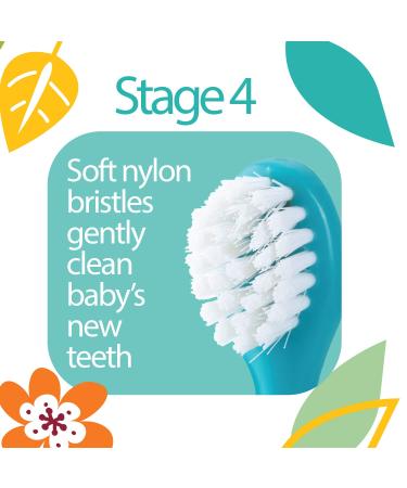Dr. Talbot's 4-Stage Oral Care Set for Infants (0m+) - 4 Piece System - Buy Online on GoSupps.com