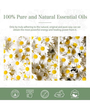 PHATOIL Chamomile Essential Oil 30ML - Therapeutic Grade, 100% Pure Natural Oil for Diffusers, Aromatherapy, Mood Improvement - Pack of 1 - Buy Online on GoSupps.com