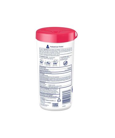 Wet Ones Antibacterial Hand Wipes - Fresh Scent 40 Count (Pack of 2) - Buy Online on GoSupps.com