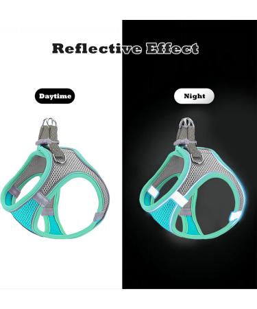 Giapinst No Pull Dog Harness for Small Dogs | Adjustable Breathable Mesh with Reflective Stripes | Medium-Sized Safety Harness (L Green & Gray) - International Shipping Available - Buy Online on GoSupps.com