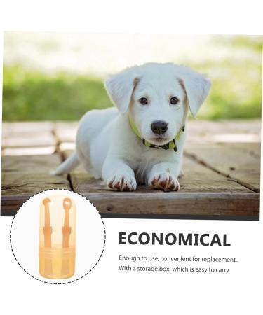 Amosfun 1 Set Pet Toothbrush Cleaning Supplies Puppy Dog Toothbrush and Toothpaste Large Dog Small Dog - Buy Online on GoSupps.com