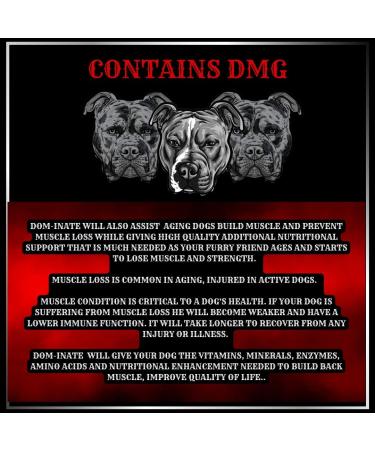 Advanced Animal Care Dog Muscle Builder All Breeds Muscle Gainer for Dogs Dominate Bully Maximum Gain Strength Energy Chew - Buy Online on GoSupps.com