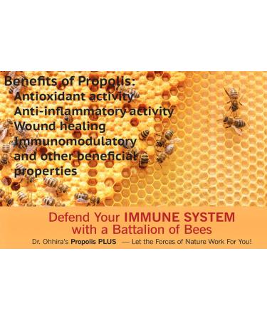 Dr. Ohhira's Propolis Plus - 30 Capsules for Immune Support & Wellness - Buy Online on GoSupps.com