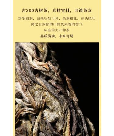 Pu-erh tea 2020 SHENG JIA YUAN Sleepy Deer Mountain 357g Raw - Buy Online on GoSupps.com