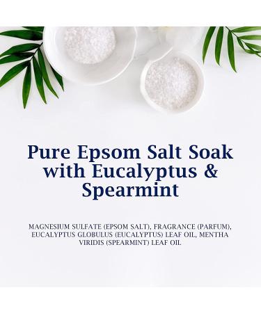 Dr Teal's Eucalyptus & Spearmint Epsom Salt 3 lb - Pack of 4 - Buy Online on GoSupps.com