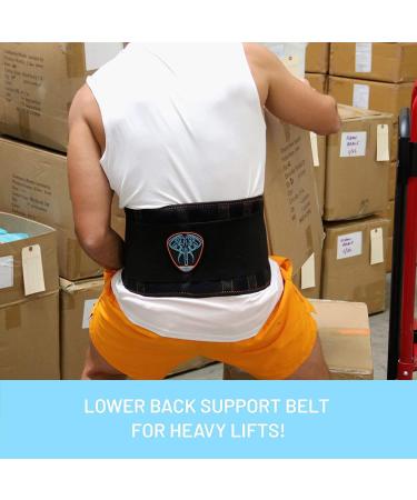 Everyday Medical Back Bandage with Support Struts | Back Pain Relief & Occupational Safety | Back Support Belt for Lumbar & Pelvic Pain (S/M) - Buy Online on GoSupps.com