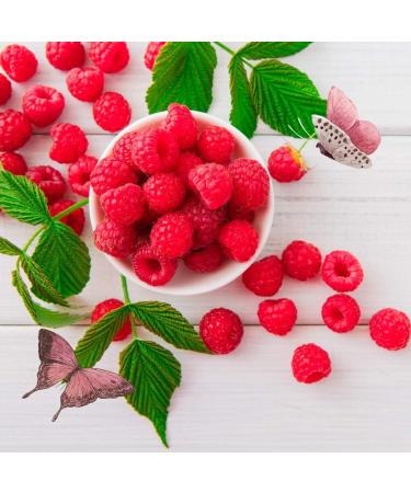 Mi Rebotica - High tolerance reduction cream suitable thyroid problems circulation allergy salicylates fighting cellulite (250ml) - Buy Online on GoSupps.com