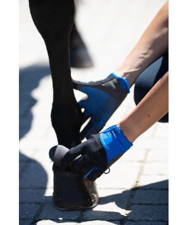 Roeckl Sports Riding Gloves Lynn for Ladies - Summer Gloves in Anthracite Sizes 6-8.5 | International Shipping Available - Buy Online on GoSupps.com