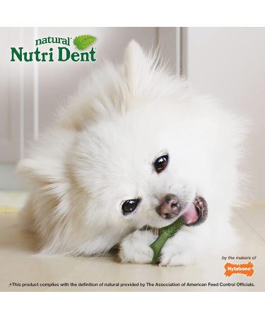 Nylabone Nutri Dent Natural Dental Fresh Breath Chew Treats Mini (160 Count) - Buy Online on GoSupps.com