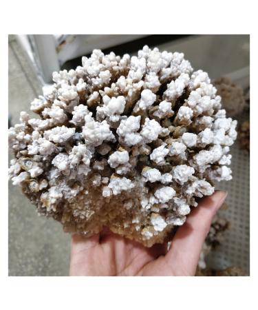 Natural Rough Crystalline Crystal Stone Zeolite Quartz Apophyllite Raw Rock Decorations Specimens Collection Bulk yuebang ERBDRGAZ (Size : 400-550g)