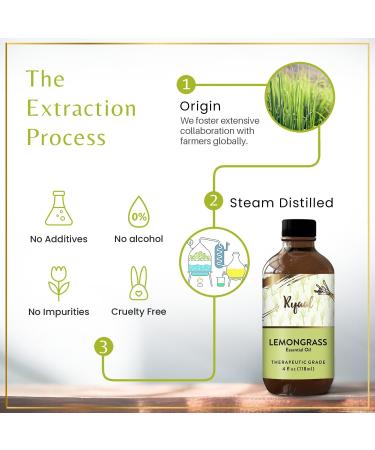 Lemongrass Essential Oil - Pure & Natural Therapeutic Grade | Premium Quality 4 Fl Oz for Diffusers - Buy Online on GoSupps.com