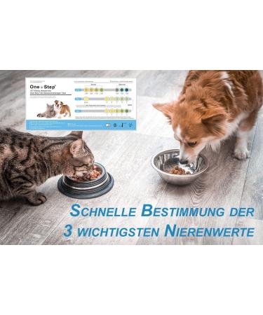 One+Step Cat Health Test - Quick Urine Kidney Check at Home - 1 Piece for Pet Health - Buy Online on GoSupps.com