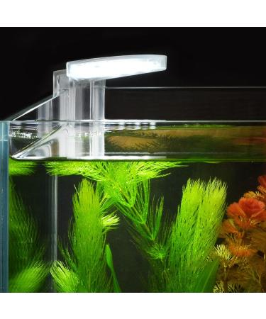 WEAVERBIRD Clip on Light Fan Shape Model-M3 Aquarius Aquarium Light 5W 12 LEDs Planted Lamp for 6mm Thick Fish Tanks - Buy Online on GoSupps.com