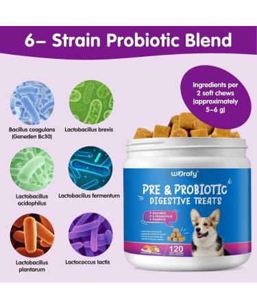 Tioueo Probiotic Digestive Chews 120pcs - Digestive Harmony, Skin Comfort, Allergy Relief, Immune Boost for Dogs - Ultimate Canine Wellbeing - Buy Online on GoSupps.com