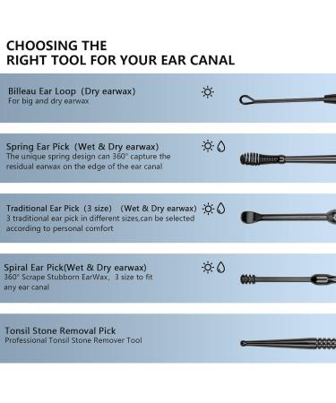 Hion 8-in-1 Stainless Steel Ear Cleaner for Ear Wax Removal - Medical Grade Kids & Adults Includes Storage Box - Black - Buy Online on GoSupps.com