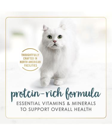 Fancy Feast Gravy Lovers Wet Cat Food Turkey Feast in Gravy - 85 g Can (24 Pack) - Buy Online on GoSupps.com