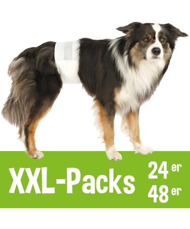 Buy Schecker 24 Pieces Male Dog Diapers (Waist 60-80 cm L-XL) - Best International Shipping! - Buy Online on GoSupps.com