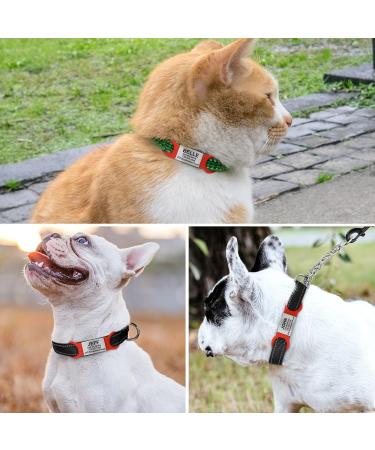 Tagme 2 Pack Personalized Dog Tags - Engravable Pet ID for Small & Medium Breeds - Custom Red Dog Brand for Dogs & Cats - Buy Online on GoSupps.com
