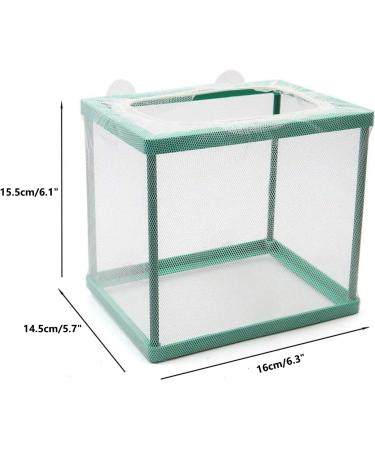 Trinidad Fish Breeding Box - Large Isolation & Nursery Container with Suction Cup for Tropical Guppies - Buy Online on GoSupps.com