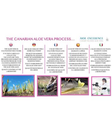 ALOE EXCELLENCE - Nourishing Face & Body Cream with Aloe Vera & Rosehip Oil | International Shipping Available - Buy Online on GoSupps.com