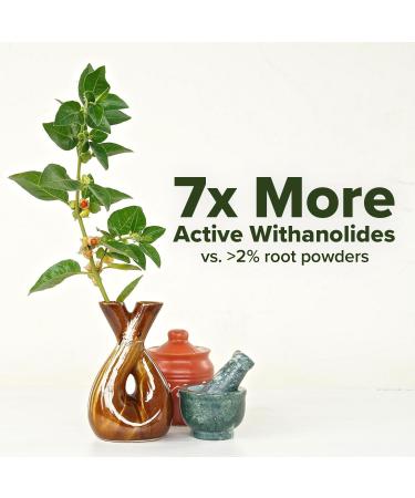 Nature's Lab Gold Magnesium + Ashwagandha with L-Theanine - Promotes Stress Management & Mood Health* - 60 Capsules (30 Day Supply) - Buy Online on GoSupps.com