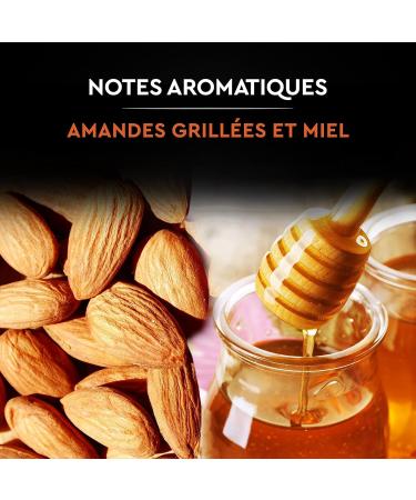 CARTE NOIRE - Caf Grain Carte Noire Secrets de Nature - Catuai Romex - Certifi Rainforest Alliance - Paquet de 2 kg - Buy Online on GoSupps.com