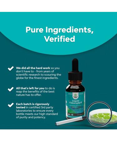 Natural Chlorophyll Liquid Drops - Mint Flavored for Digestive Health & Immune Support | 2oz - Buy Online on GoSupps.com