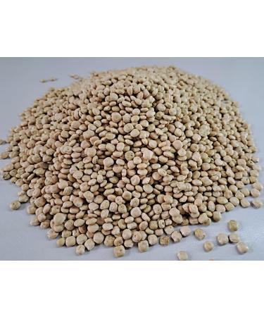 Lupine Seeds 500g - Quality Sweet Lupine Grain Germinable & Fresh from R tze Mill - International Shipping Available - Buy Online on GoSupps.com
