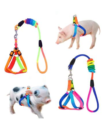 Woyous Mini-pig crockery 2-part adjustable dishes for small pigs with leash pet-pig crockery set for pig pig rabbits small animals walking jogging (S S multi-colored