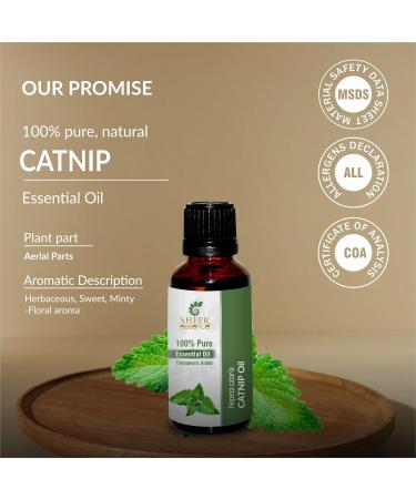 100% Pure Catnip Oil (Nepeta Cataria) - Natural Undiluted Therapeutic Essential Oil - 0.16 Fl.OZ for Cats - Buy Online on GoSupps.com