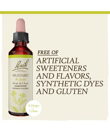 Bach Original Flower Remedies Mustard for Joy 20mL Dropper - Natural Homeopathic Stress Relief Vegan Formula - Buy Online on GoSupps.com